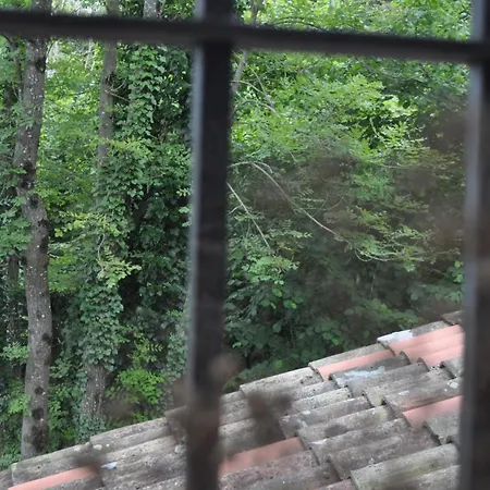 Cujut 度假居